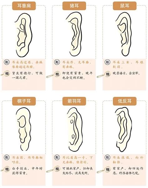 耳 相|面相耳朵图解【最详细版】 – 杨易德全集官网